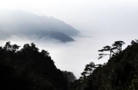 通城藥姑山 通城藥姑山