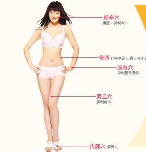 穴位減肥