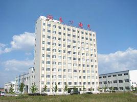 丹東欣泰電氣股份有限公司 丹東欣泰電氣股份有限公司