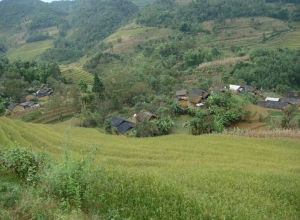 麥地坡自然村 麥地坡自然村