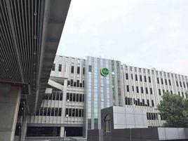 金沙車站 金沙車站