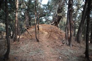 悼陵殘存墳堆的近景