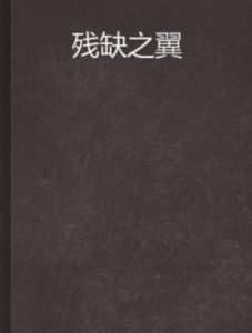 殘缺之翼 殘缺之翼