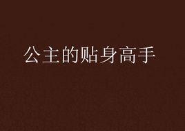 公主的貼身高手 公主的貼身高手