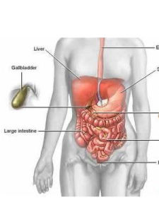 慢性腸炎 慢性腸炎