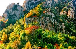 嶗山仰口風景遊覽區 嶗山仰口風景遊覽區