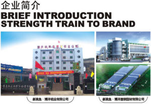 重慶新美魚博洋鋁業有限公司