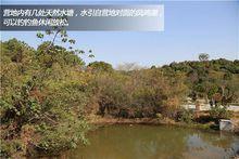 龍山街道[安徽省蕪湖市龍山街道]