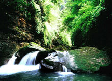 冷水河森林公園