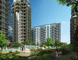 金·上城 金·上城