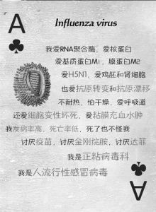 凡客體微生物撲克牌