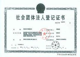 社團法人 社團法人