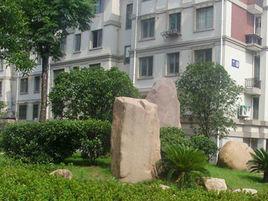 紫荊小區 紫荊小區