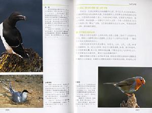 （圖）《攝影大師的創意秘訣》