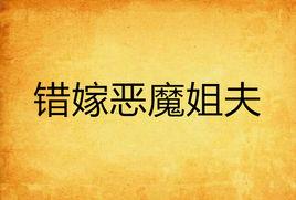 錯嫁惡魔姐夫 錯嫁惡魔姐夫