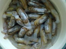 蔥香蜆子 蔥香蜆子