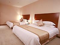 上海萊帝恩世大酒店客房