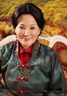 飛龍在天[2000年馮凱、張孝正執導台灣電視劇]