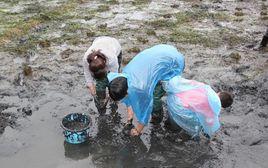 大碾房卯節 大碾房卯節