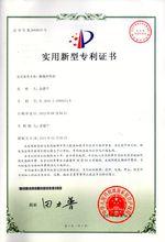 金建平[功能鞋類創新領域領軍人]