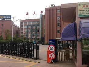 上海綠新 上海綠新