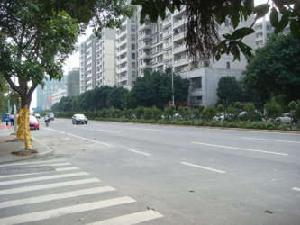 新暉朗悅居 新暉朗悅居