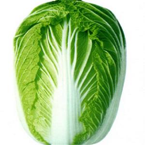 秋珍白六號 秋珍白六號