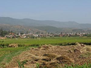 崔家營村[雲南宜良縣南羊鎮下轄村]