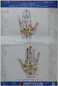 王大有全息手診手療掛圖 王大有全息手診手療掛圖
