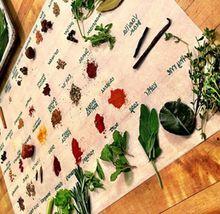 自然美食烹飪學校