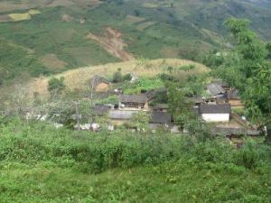 師家山自然村 師家山自然村