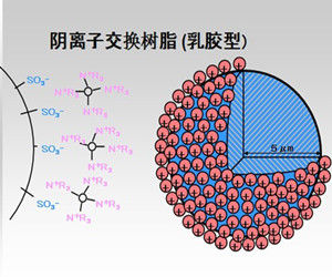 離子排斥色譜法 離子排斥色譜法