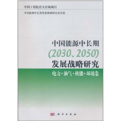 中國能源中長期