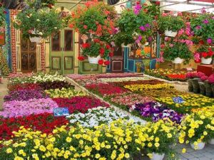 霞美花卉廣場 霞美花卉廣場