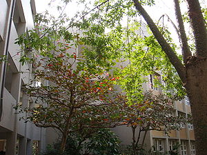 大同國中校園一景