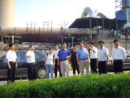 澳門水泥廠 澳門水泥廠