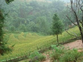 乾田寨自然村 乾田寨自然村