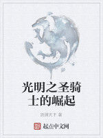 光明之聖騎士的崛起 光明之聖騎士的崛起