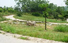 永川野生動物園 永川野生動物園