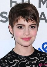 薩米&middot;蓋爾