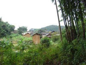 麻壋自然村 麻壋自然村