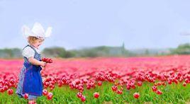 玫瑰王國 玫瑰王國