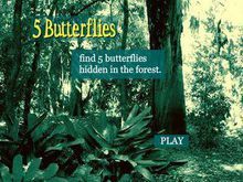 尋找花蝴蝶 尋找花蝴蝶