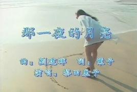 那一夜的月亮 那一夜的月亮