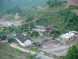 大梁子村[元江縣羊街鄉浪支村民委員會下轄村]