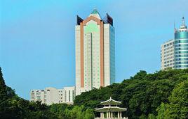 合肥和平國際大酒店 合肥和平國際大酒店