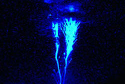 全球十大怪異天氣