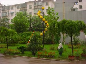 洪樓高級中學 洪樓高級中學