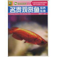 名貴觀賞魚飼養指南 名貴觀賞魚飼養指南