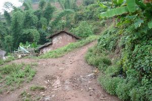 木匠田自然村 木匠田自然村